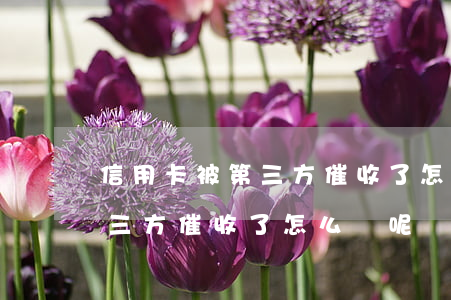 信用卡被第三方催收了怎么辦-信用卡被第三方催收了怎么辦呢