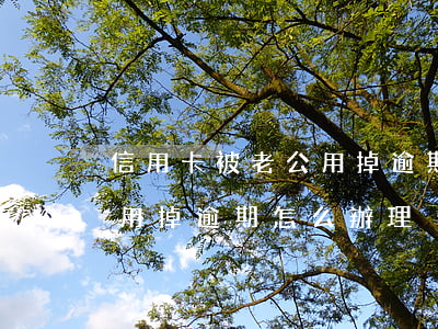 信用卡被老公用掉逾期怎么辦(信用卡被老公用掉逾期怎么辦理)