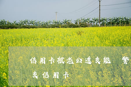 信用卡被老公透支能報警嗎(老公背著妻子透支信用卡)