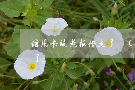信用卡被老板借走了現(xiàn)在逾期了