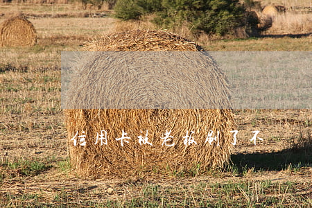 信用卡被老板刷了不還報(bào)警