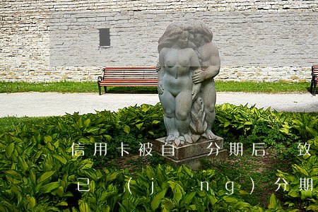 信用卡被自動分期后導致我還不上錢(信用卡已經(jīng)分期了還是還不上怎么辦)