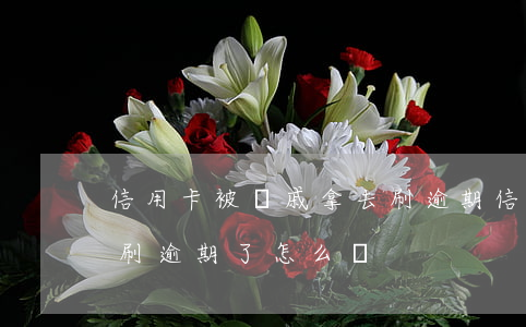 信用卡被親戚拿去刷逾期(信用卡被親戚拿去刷逾期了怎么辦)