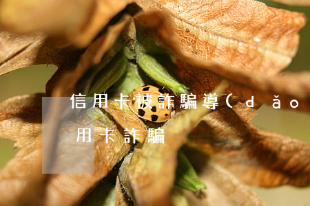 信用卡被詐騙導(dǎo)致逾期(被起訴信用卡詐騙)
