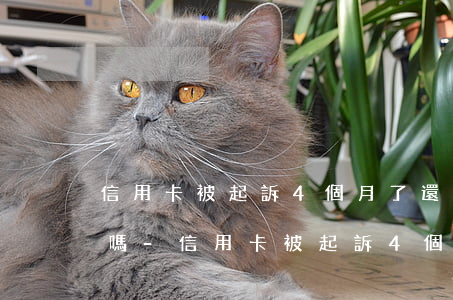 信用卡被起訴4個月了還能協(xié)商嗎-信用卡被起訴4個月了還能協(xié)商嗎怎么辦