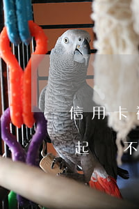 信用卡被起訴不出庭會怎么樣（信用卡逾期被起訴不出庭可以么）