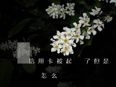 信用卡被起訴了但是實(shí)在沒有錢還怎么辦