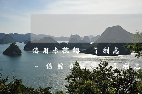 信用卡被起訴了利息還會繼續(xù)漲嗎-信用卡被起訴了利息還會繼續(xù)漲嗎知乎