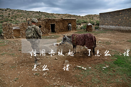 信用卡被起訴了怎么處理(信用卡欠款被起訴怎么處理)