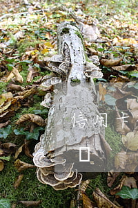 信用卡被起訴了怎么辦(信用卡被起訴了怎么辦?)