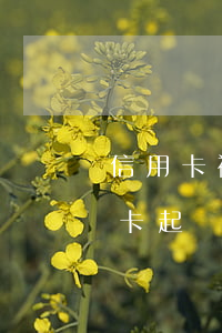 信用卡被起訴了讓去公安局錄口供-被信用卡起訴會(huì)被警察抓嗎