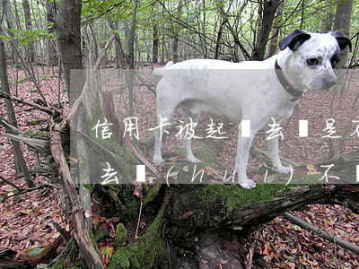 信用卡被起訴去還是不去(被信用卡起訴了不去會(huì)不會(huì)來找人)