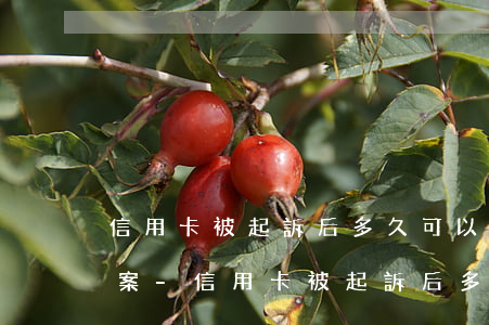 信用卡被起訴后多久可以辦理結(jié)案-信用卡被起訴后多久可以辦理結(jié)案手續(xù)