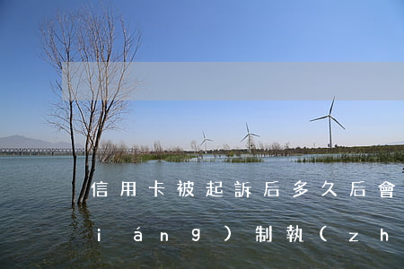 信用卡被起訴后多久后會(huì)強(qiáng)制執(zhí)行-信用卡被起訴后多久后會(huì)強(qiáng)制執(zhí)行呢
