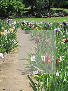 信用卡被起訴后對(duì)工作有什么影響-信用卡被起訴后對(duì)工作有什么影響嗎