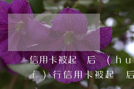 信用卡被起訴后會(huì)怎么執(zhí)行(信用卡被起訴后多久強(qiáng)制執(zhí)行)