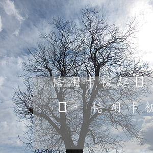 信用卡被起訴后還了一半會(huì)坐牢嗎-信用卡被起訴后還了一半會(huì)坐牢嗎知乎
