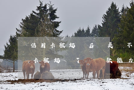 信用卡被起訴后還是還不起怎么辦-錢信用卡被起訴了沒還款能力怎么辦