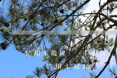 信用卡被起訴實(shí)在沒有錢還怎么辦-信用卡被起訴實(shí)在沒有錢還怎么辦呢