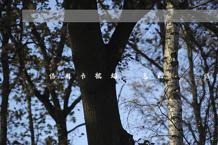 信用卡被起訴怎么應訴(信用卡被起訴怎么應訴)