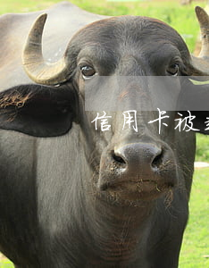 信用卡被起訴怎么辦(信用卡被起訴流程)