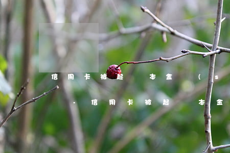 信用卡被起訴本金數(shù)額不對怎么辦-信用卡被起訴本金數(shù)額不對怎么辦理