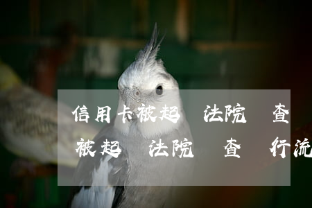信用卡被起訴法院會查銀行流水嗎-信用卡被起訴法院會查銀行流水嗎怎么查