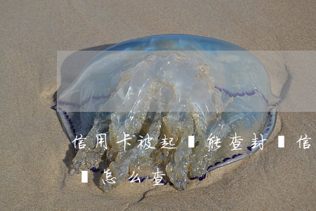 信用卡被起訴能查封嗎(信用卡被起訴能查封嗎怎么查)