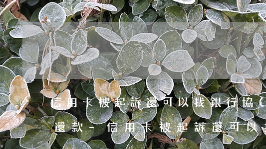 信用卡被起訴還可以找銀行協(xié)商還款-信用卡被起訴還可以找銀行協(xié)商還款嗎