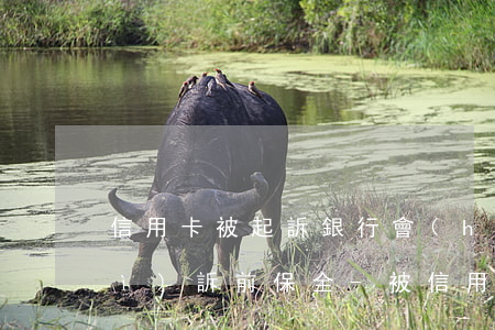 信用卡被起訴銀行會(huì)不會(huì)訴前保全-被信用卡起訴會(huì)凍結(jié)銀行卡嗎