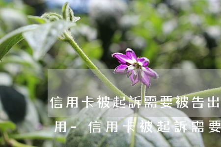 信用卡被起訴需要被告出什么費(fèi)用-信用卡被起訴需要被告出什么費(fèi)用呢