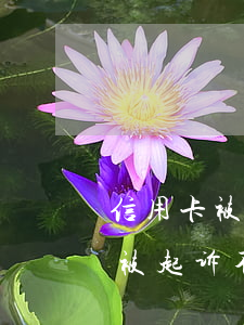 信用卡被起诉不还会被上门执行吗-信用卡被起诉不还会被上门执行吗知乎