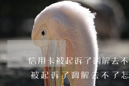 信用卡被起诉了调解去不了怎么办-信用卡被起诉了调解去不了怎么办呢