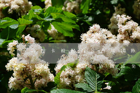 信用卡被起诉是否可以协商免利息-被信用卡起诉后还能协商减免费用吗
