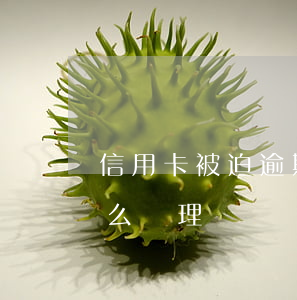 信用卡被迫逾期還款 信用卡被迫逾期還款怎么處理