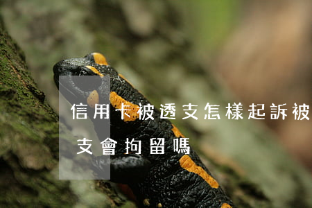 信用卡被透支怎樣起訴(被起訴信用卡惡意透支會拘留嗎)