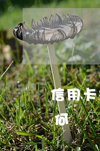 信用卡被通知逾期怎么還款(逾期了信用卡如何還)