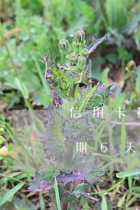 信用卡被逾期6天會怎么樣(信用卡不小心逾期6天)