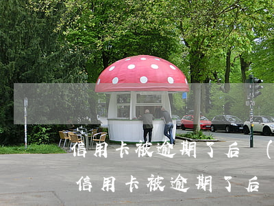 信用卡被逾期了后續(xù)還可以辦理嗎(信用卡被逾期了后續(xù)還可以辦理嗎)