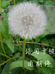 信用卡被逾期停了怎么恢复正常-信用卡被逾期停了怎么恢复正常使用