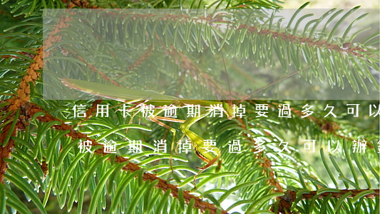 信用卡被逾期消掉要過多久可以辦-信用卡被逾期消掉要過多久可以辦銀行卡