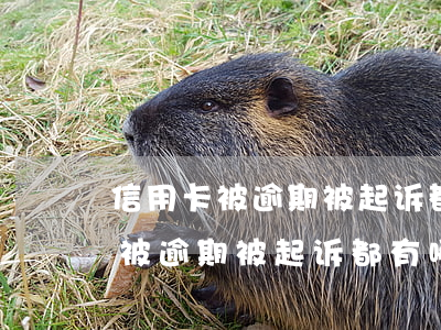 信用卡被逾期被起诉都有哪些流程-信用卡被逾期被起诉都有哪些流程呢