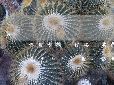 信用卡被銀行起訴要承擔(dān)哪些費(fèi)用-信用卡被銀行起訴要承擔(dān)哪些費(fèi)用呢