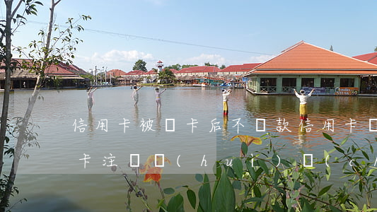 信用卡被銷卡后不還款(信用卡沒還款直接把卡注銷會(huì)產(chǎn)生什么影響)