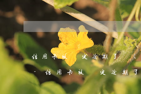 信用卡被鎖定逾期了會(huì)上征信嗎-信用卡被鎖定逾期了會(huì)上征信嗎怎么辦