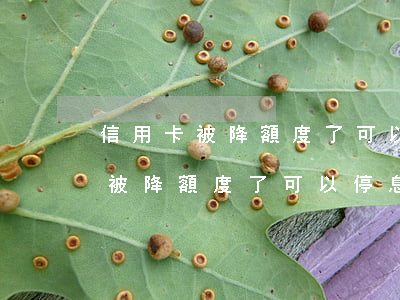 信用卡被降額度了可以停息掛賬么-信用卡被降額度了可以停息掛賬么嗎