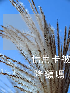 信用卡被降額被迫逾期(貸款逾期后信用卡會降額嗎)