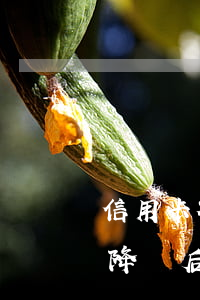 信用卡被降額補(bǔ)救辦法-信用卡被降額后的幾個處理方法
