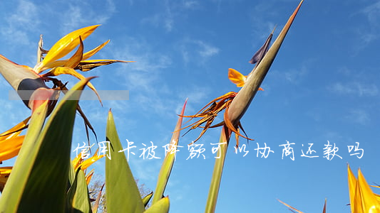 信用卡被降额可以协商还款吗