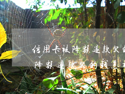 信用卡被降额退款欠的钱怎样还-信用卡被降额退款欠的钱怎样还款